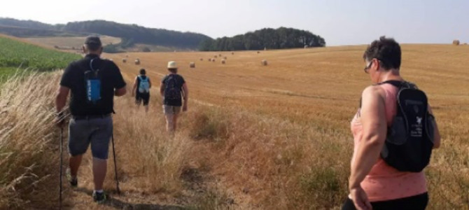 LA « BAIE‘LADE » D’OPALE