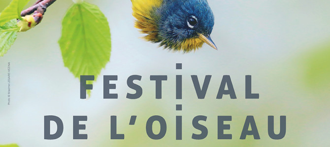 FLORE ET VÉGÉTATION DU LITTORAL