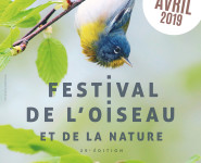 À LA RECHERCHE DES TRÉSORS DE LA BOUVAQUE