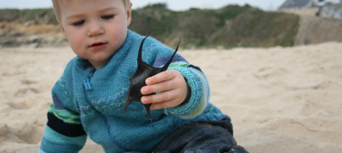 GRANDE CHASSE AUX OEUFS DE RAIE