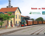 BALADE AU HABLE / Train & Trottinette tout-terrain électrique