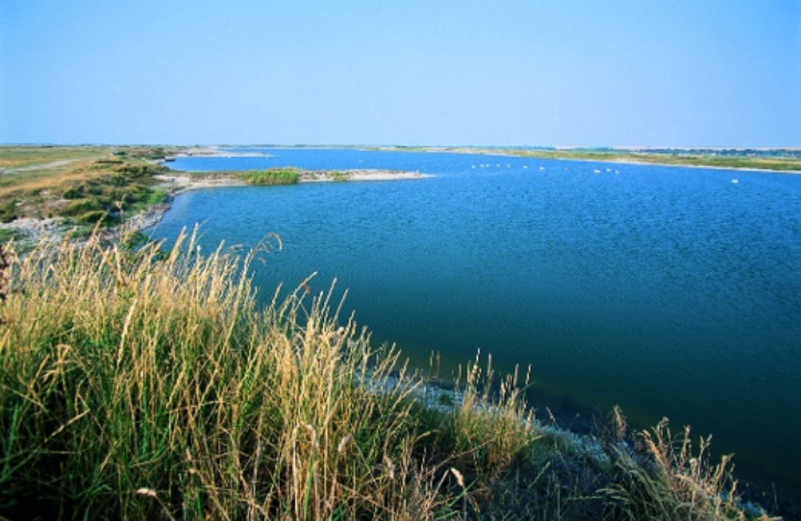 10 04 saint valery balade au hable visu