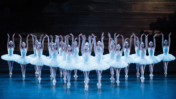 19 04 berck le lac des cygnes