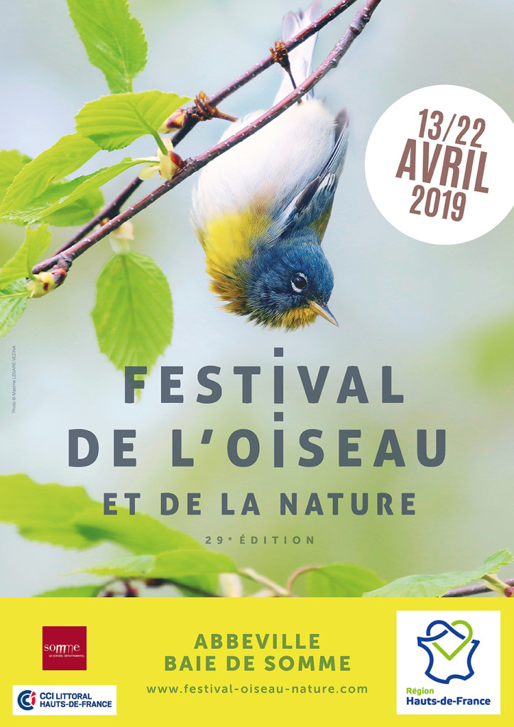 20 04 festival oiseau