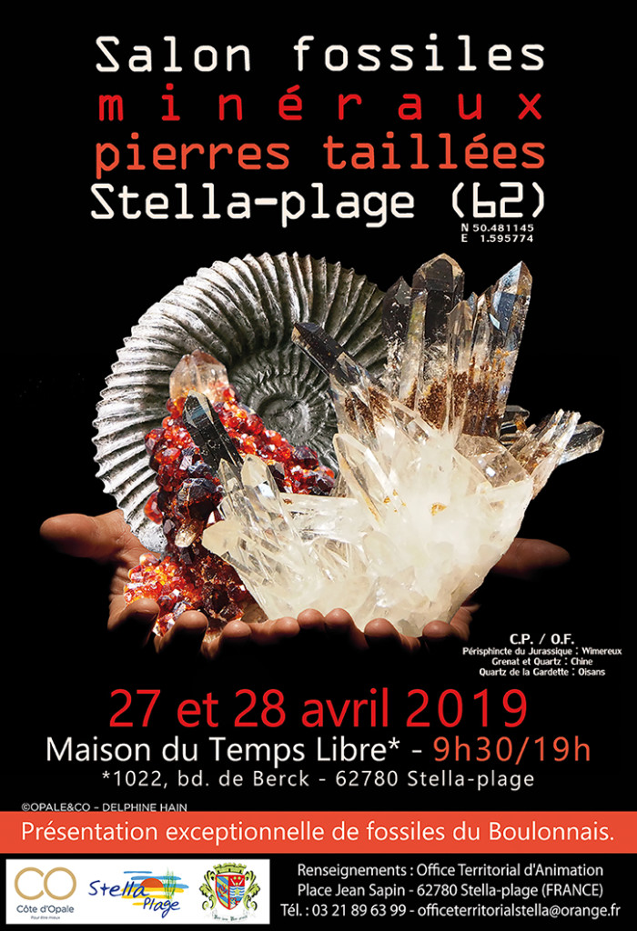 27 04 stella fossiles minéraux pierres taillées 2019