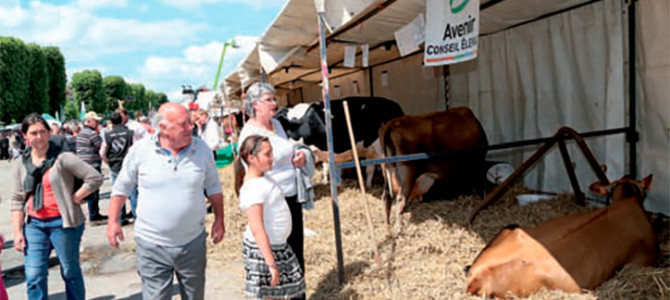 FESTIVAL DE L’AGRICULTURE EN PICARDIE MARITIME