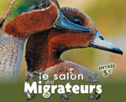 SALON DES MIGRATEURS