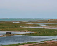 VISITE « NATURE BIENFAITRICE »