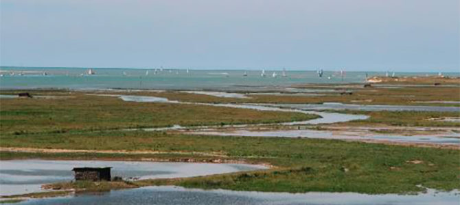 VISITE « NATURE BIENFAITRICE »