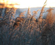 SORTIE CRÉPUSCULAIRE