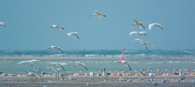 RANDONNÉE NATURE « ENTRE MER ET CAMPAGNE »