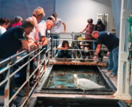 DE MARÉIS AU PORT D’ÉTAPLES SUR MER