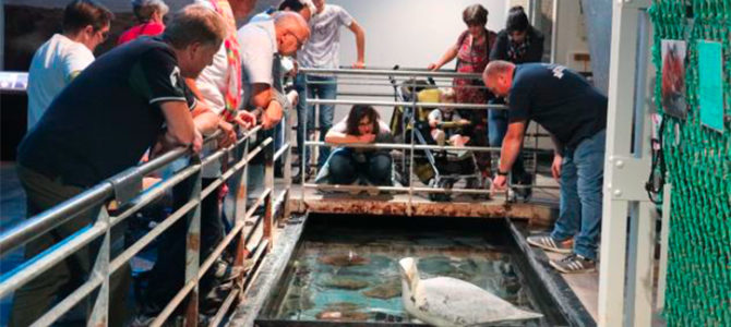 DE MARÉIS AU PORT D’ÉTAPLES SUR MER