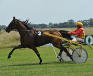 ????????????????????????????????????