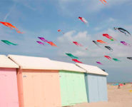 JOURNÉE MONDIALE DU CERF-VOLANT