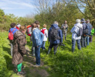 LES CONTES D’ÉMONVILLE