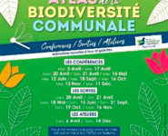 CONFÉRENCE : LES SECRETS DE LA VIE DES ESPÈCES NOCTURNES