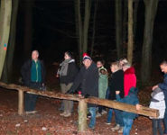 SORTIE NOCTURNE : LA VIE, LA NUIT