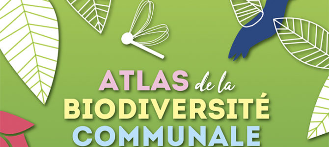 MON JARDIN : UN REFUGE POUR LA BIODIVERSITÉ