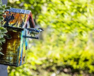 LES MERCREDIS DE LA BIODIVERSITÉ