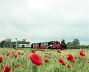REPORTAGE EN BAIE DE SOMME