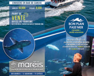 LE « BAIE DE CANCHE » & LES SORTIES « PÊCHE EN MER » !