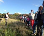 DUNES DE BERCK « LES OISEAUX HIVERNANTS »
