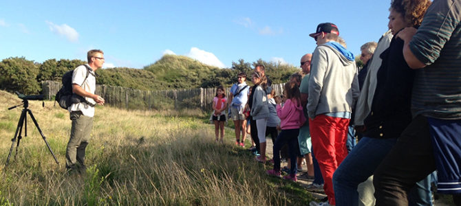 DUNES DE BERCK « LES OISEAUX HIVERNANTS »