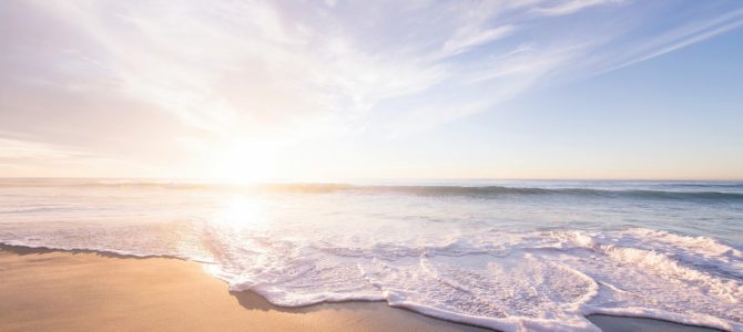 NETTOYAGE DE LA PLAGE