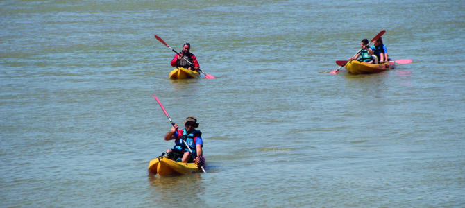 IMMERSION EN KAYAK : « ENTRE NATURE & GOURMANDISE »