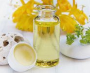 ATELIER FABRICATION D'UN BAUME AUX PLANTES