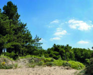 AU RYTHME DES MARÉES