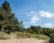 FAVORISER LA NATURE CHEZ SOI