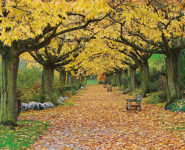SOPHRO DÉTENTE AU CHÂTEAU DE RÉGNIERE