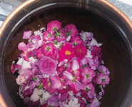 ATELIER HUILES ET SOINS DE BEAUTÉ