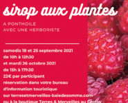 ATELIER DE FABRICATION D'UN SIROP AUX PLANTES
