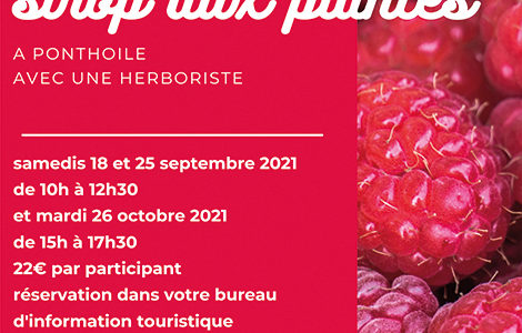 ATELIER DE FABRICATION D'UN SIROP AUX PLANTES