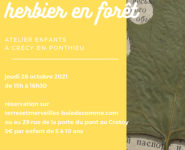 JE RÉALISE MON HERBIER EN FORÊT