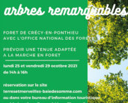 CIRCUIT DES 4 ARBRES REMARQUABLES