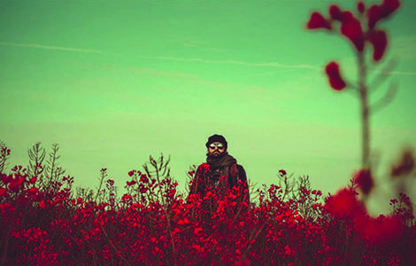 FESTIVAL HAUTE FRÉQUENCE