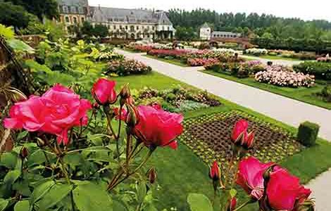 VISITE DE L'ABBAYE ET DES JARDINS DE VALLOIRES