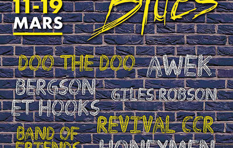 FESTIVAL LES NUITS DU BLUES / DOO THE DOO / GILES ROBSON