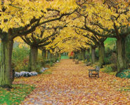 ACCUEILLIR LE PRINTEMPS AVEC LE YOGA JAPONAIS (DO-IN) ET DU SHIATSU EN FAMILLE