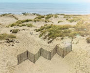 FESTIVAL OMNIVORE NORD