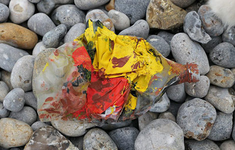 SORTIE « LE PLASTIQUE, C’EST PAS CHIC ! »