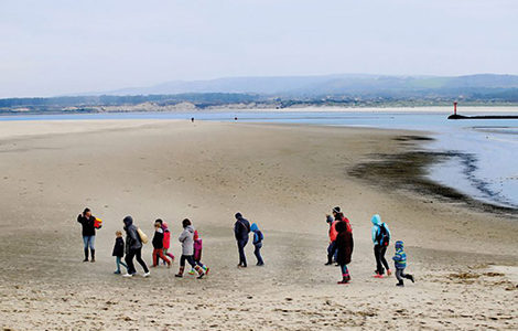 LA LAISSE DE MER, UN TRESOR DEPOSE SUR LA PLAGE