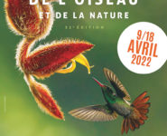 FESTIVAL DE L’OISEAU, CINÉMA ANIMALIER