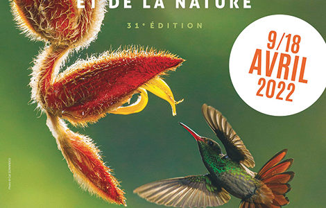 FESTIVAL DE L’OISEAU, CINÉMA ANIMALIER