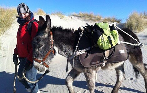 BALADE COMMENTÉE À LA DÉCOUVERTE DU MILIEU NATUREL