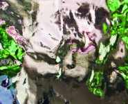 EXPOSITION MICHEL JOCAILLE